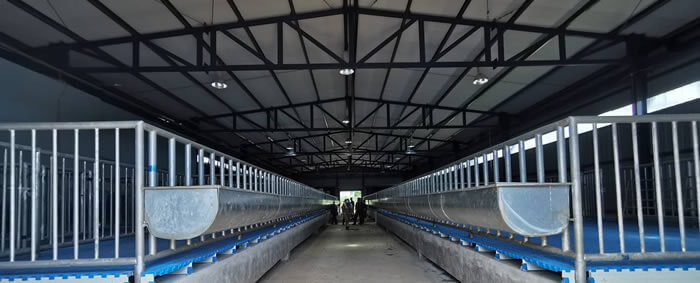 Training / Course Training / Course