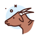 Memperkasa Kesihatan Haiwan Memperkasa Kesihatan Haiwan